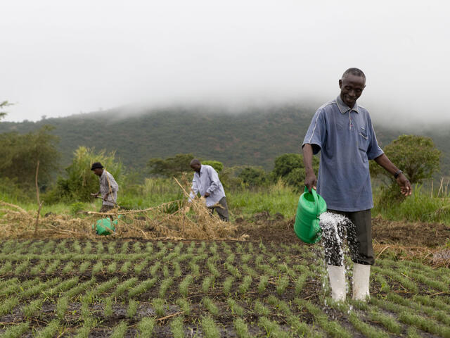 Sustainable Agricultural Practices