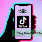 Tăng Theo Dõi TikTok Tozdv