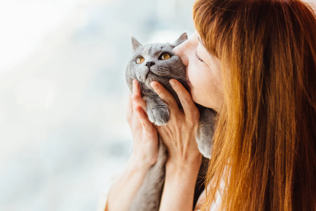 Why Cats Are Ideal Companions for Girls